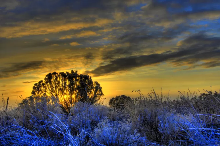 Arco Desert Sunrise