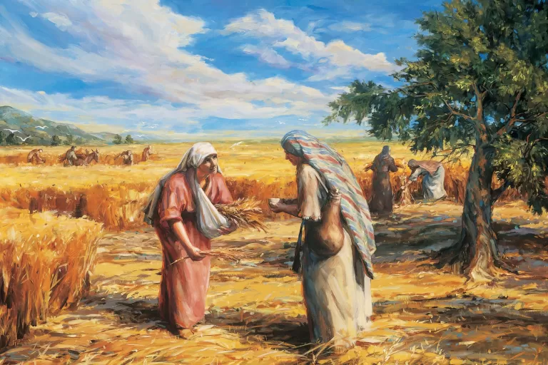 Ruth Gleaning Fields