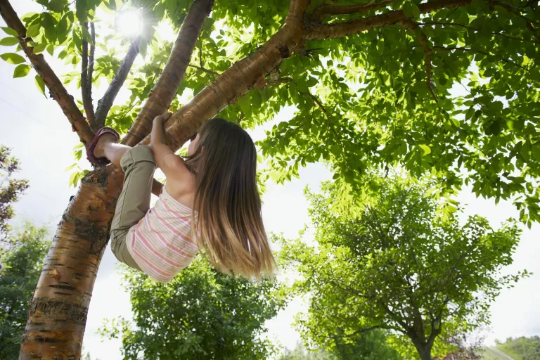 Girl Climbing Tree