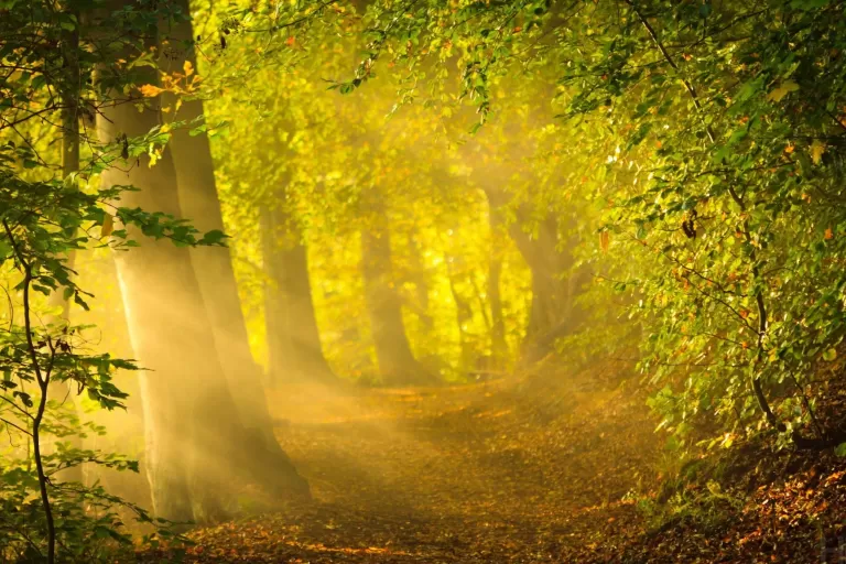 Beyond the Veil