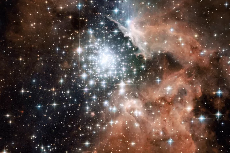 Young Star Cluster