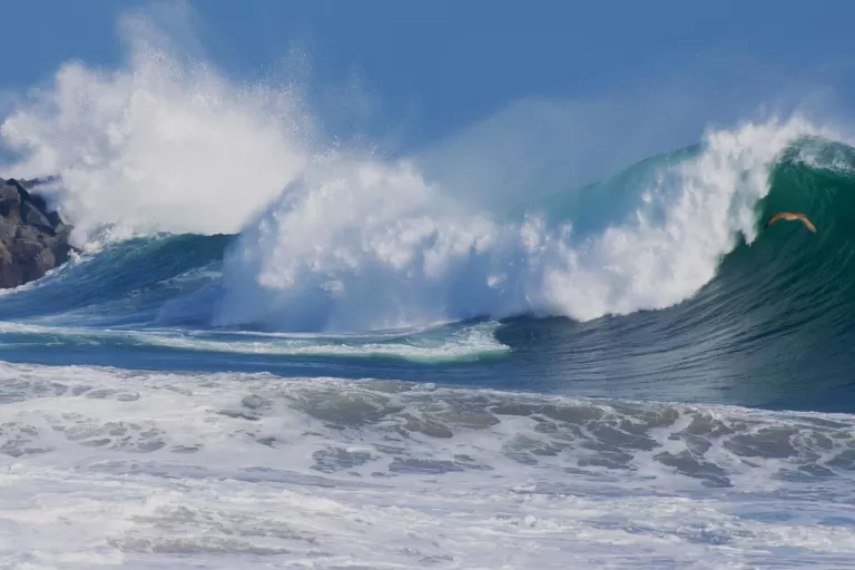 The Wedge - Newport Beach